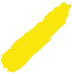 USS Ninja Car Auction